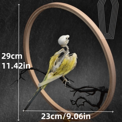 2027 Taxidermy Passerine Ossuary Shadowbox Gothic Anatomy Artifact Articulated Skeletal Artistry Ecclesiastical Bird Bone Assemblage