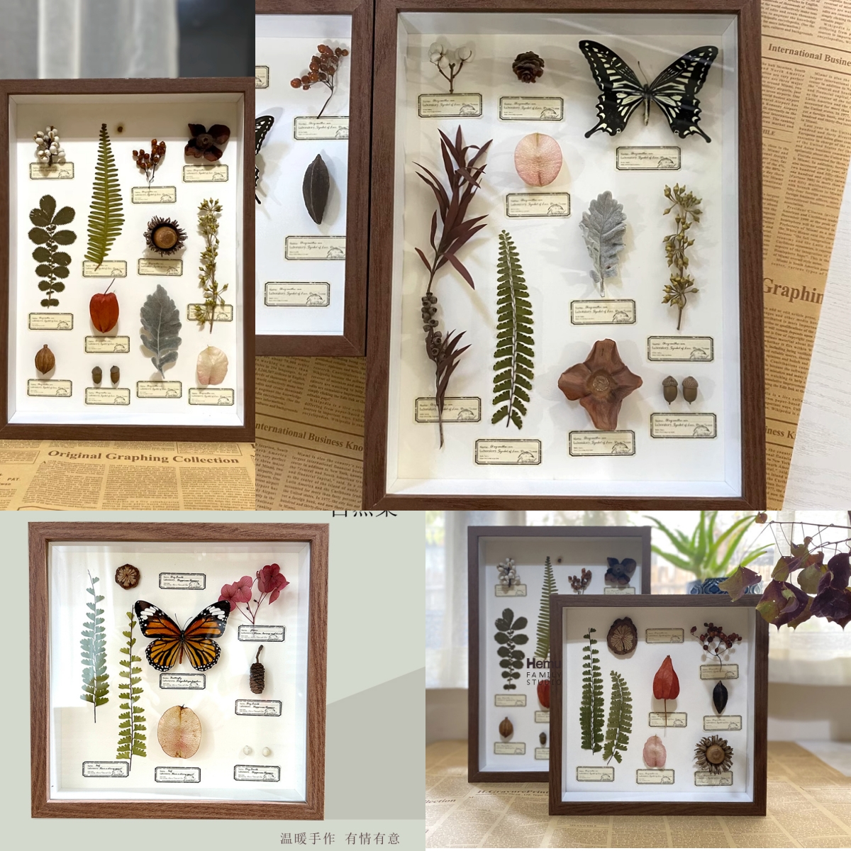 2087 Boutique series Vintage Butterfly Plant Specimen box Wall Art Handmade Aesthetic Home Decor Birthday Gift Wedding Christmas Party Supplies