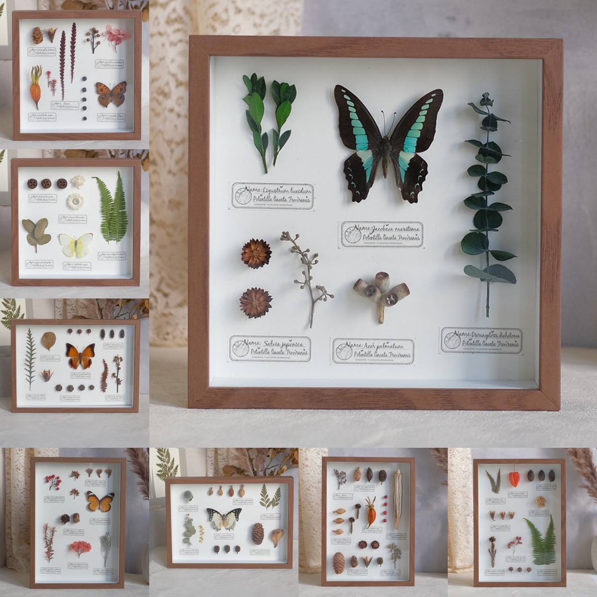 2097 Boutique series Butterfly Botanical Shadow Box Art Handmade 3D Framed Preserved Flowers Wall Decor Nature-Inspired Craft Original Gift Home