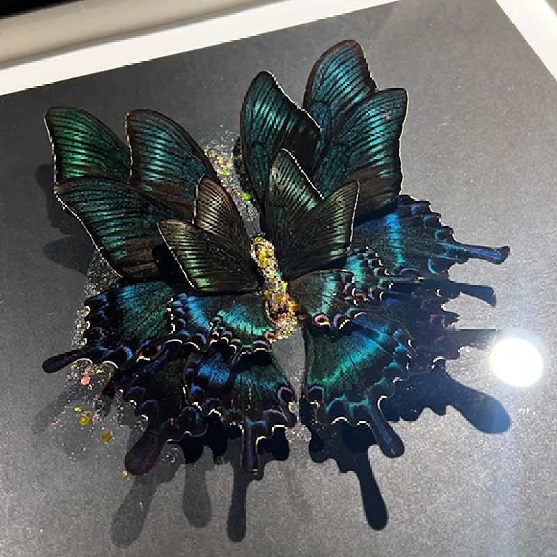 2131 Boutique series Butterfly Flower Specimen Butterfly Wings Painting Vintage Collection Home Decoration Creative Birthday Gift Vintage Decor