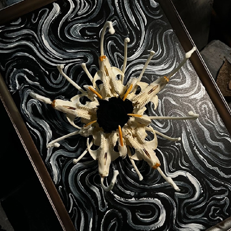 2134 Boutique series Unique Bone Lily Flower Skeleton Artwork Framed Specimen Memorial Keepsake Home Decor Framed Wall Art Memorial Gift