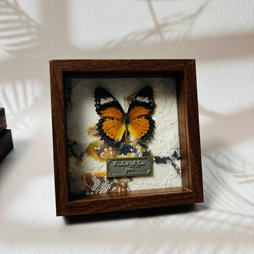 2051 Wholesale series 1/5/10pcs Death-headed Eagle Moth Gift Specimen Painting Gothic Art Creepy Weird Halloween Supplies Silent Lamb