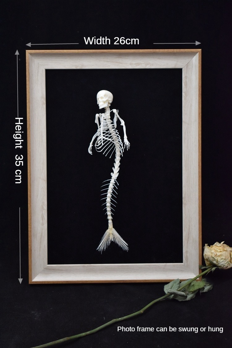 2012 Taxidermy Mythical Mermaid Skeleton Art Oceanic Bone Sculpture Aquatic Mythology Display Curio Cabinet Gothic Sea Decor Artisan