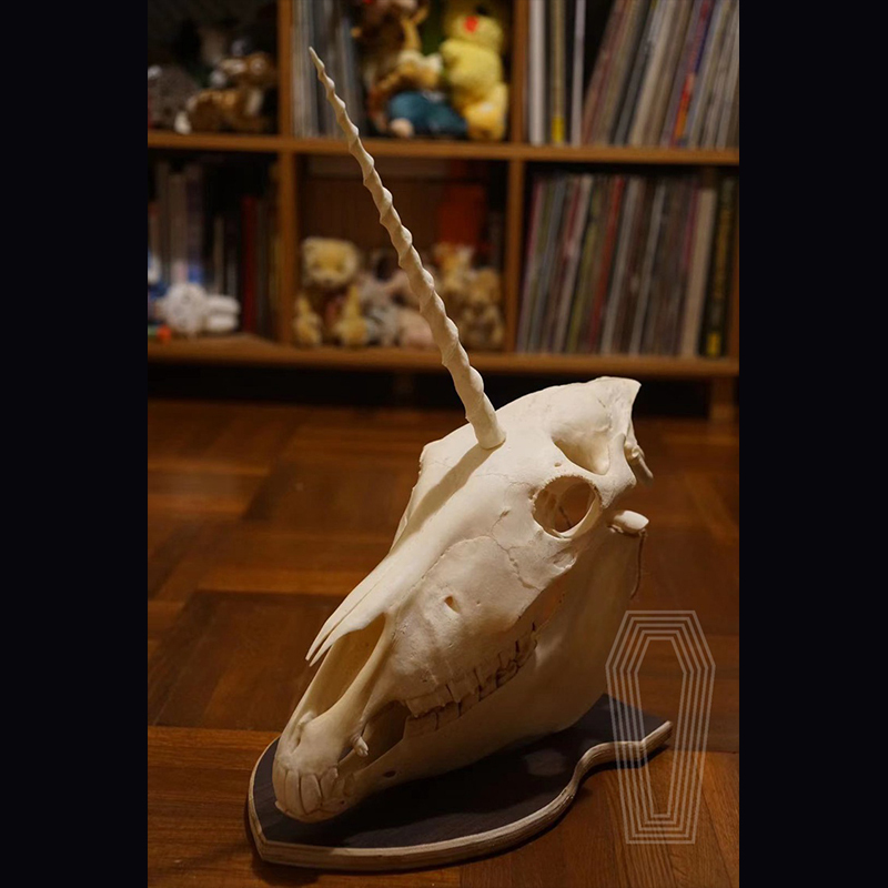 2124 Boutique series Original Unicorn Skull Bone Specimen Teaching Sculpture Animal Crafts Art Collectibles Desktop Ornament Brithday Gift