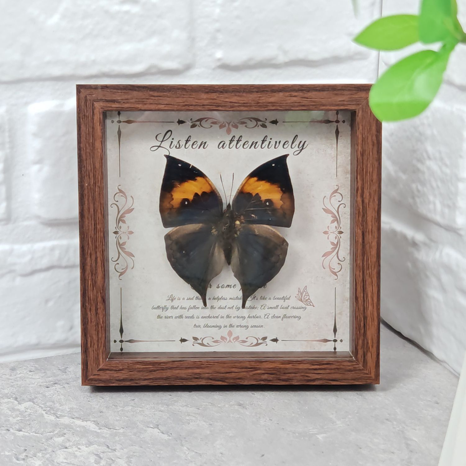 2103 Wholesale Butterfly Specimen Painting 3D Framed Shadow Box Wall Art Birthday Wedding Gift Christmas Halloween Party Decor