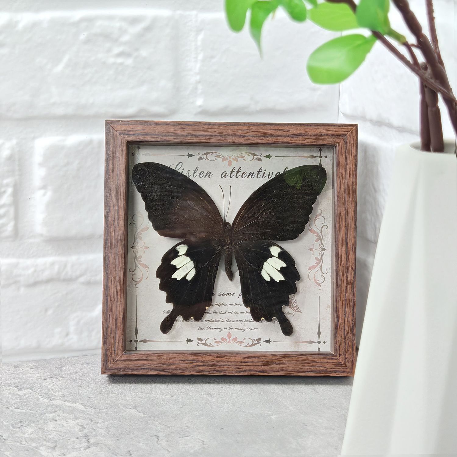 2103 Wholesale Butterfly Specimen Painting 3D Framed Shadow Box Wall Art Birthday Wedding Gift Christmas Halloween Party Decor
