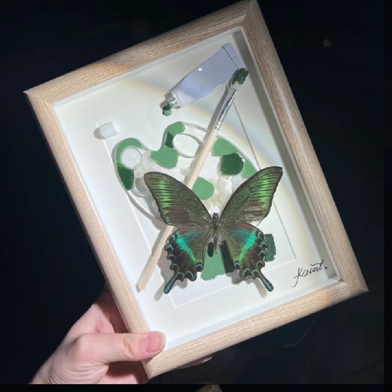2153 Boutique series Real Green Papilio Maackii Butterfly Specimen Hand Painted Art Shadow Box Framed Entomology Display Unique Home Decor Wall Art Gift for Nature Lover