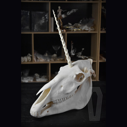2124 Boutique series Original Unicorn Skull Bone Specimen Teaching Sculpture Animal Crafts Art Collectibles Desktop Ornament Brithday Gift