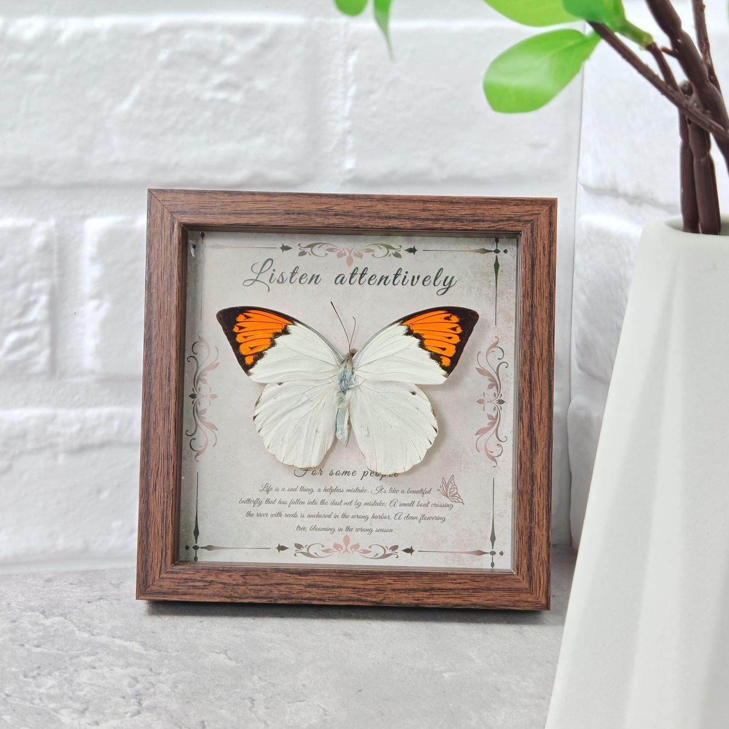 2103 Wholesale Butterfly Specimen Painting 3D Framed Shadow Box Wall Art Birthday Wedding Gift Christmas Halloween Party Decor