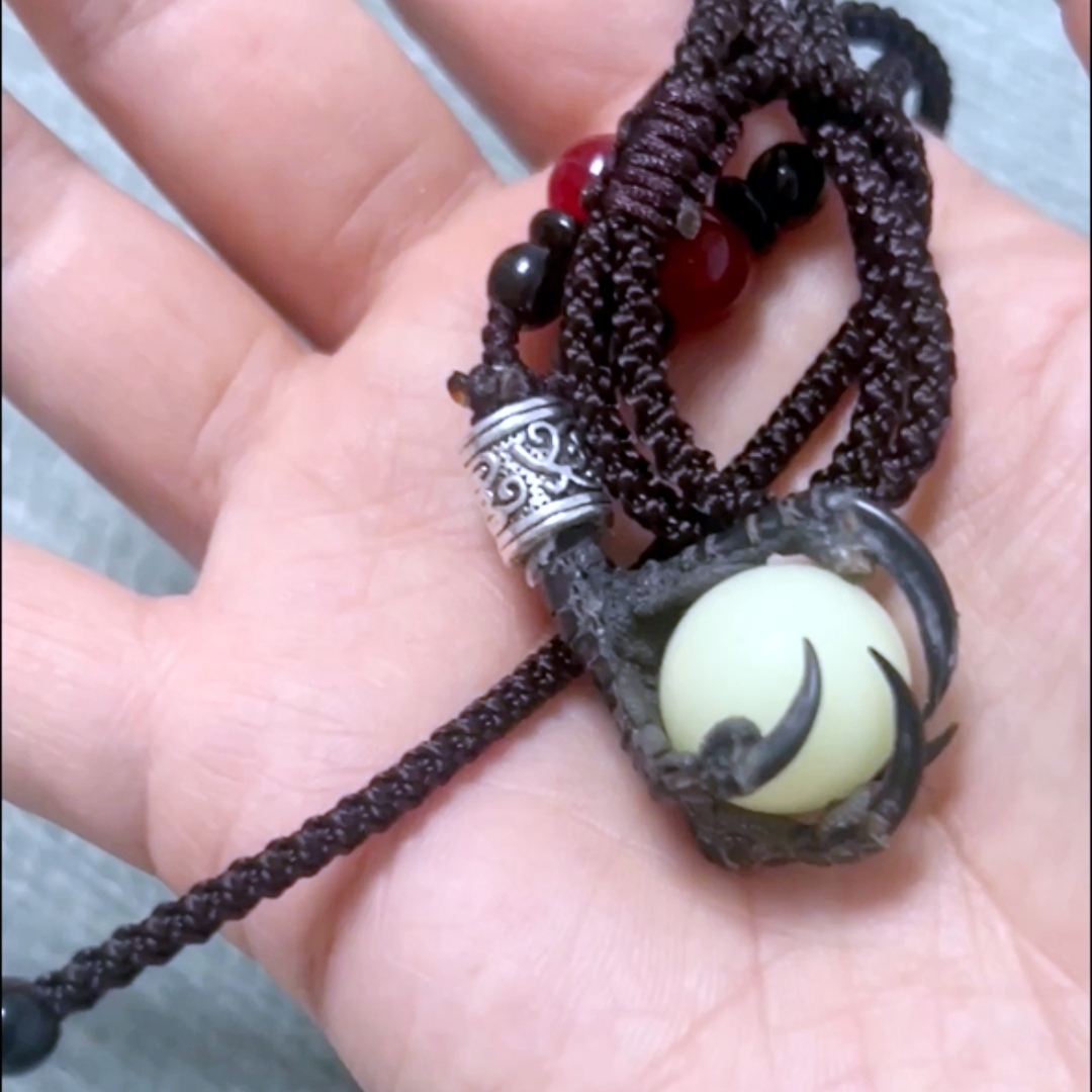 2115 Wholesale series 1/5/10 Pcs Crocodile Skull Artwork Decorative Sculpture Lot Premium Quality Animal Skull Home Decor Science