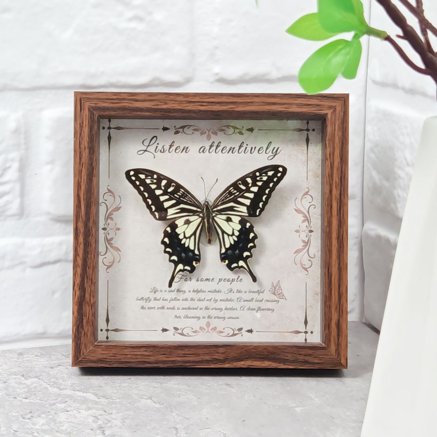 2103 Wholesale Butterfly Specimen Painting 3D Framed Shadow Box Wall Art Birthday Wedding Gift Christmas Halloween Party Decor