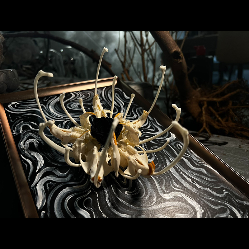 2134 Boutique series Unique Bone Lily Flower Skeleton Artwork Framed Specimen Memorial Keepsake Home Decor Framed Wall Art Memorial Gift