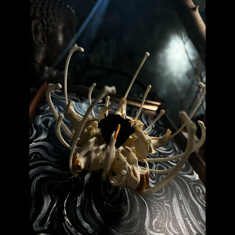 2134 Boutique series Unique Bone Lily Flower Skeleton Artwork Framed Specimen Memorial Keepsake Home Decor Framed Wall Art Memorial Gift