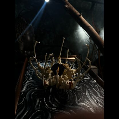 2134 Boutique series Unique Bone Lily Flower Skeleton Artwork Framed Specimen Memorial Keepsake Home Decor Framed Wall Art Memorial Gift