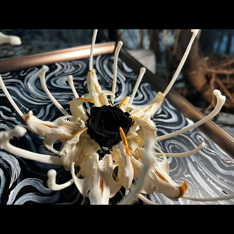 2134 Boutique series Unique Bone Lily Flower Skeleton Artwork Framed Specimen Memorial Keepsake Home Decor Framed Wall Art Memorial Gift