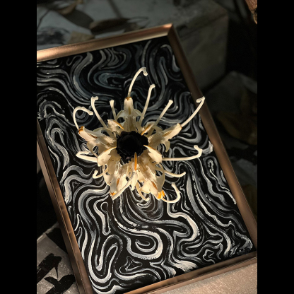 2134 Boutique series Unique Bone Lily Flower Skeleton Artwork Framed Specimen Memorial Keepsake Home Decor Framed Wall Art Memorial Gift