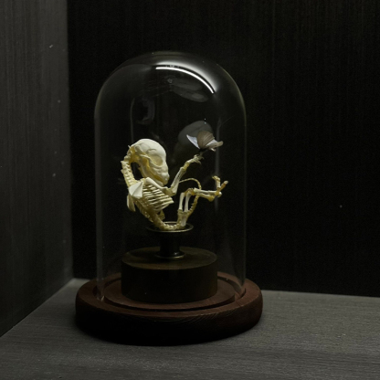 2135 Boutique series Taxidermy Sleeping Fox Skeleton Specimen in Glass Frame Display Home Decor Collectible Artwork As Halloween party supplies gift