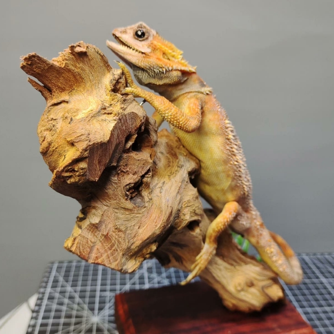 2056 Boutique series Lizard squirrel Taxidermy Animal Specimen Art Home Decor Handmade Craft for Reptile Collectors Gothic Halloween Christmas Gift
