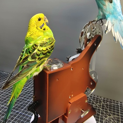 2065 Boutique series Dancing Bird with Rotating Music Box Sculpture Home Decor Ornament for Wedding Gift Christmas Halloween Party Supplies