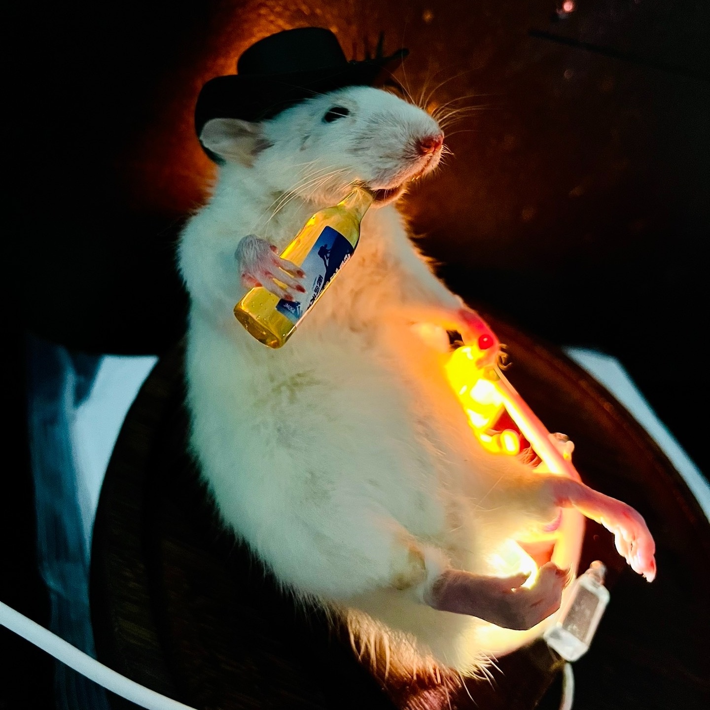 2240 The posture of the mouse taxidermy can be customized Art Exquisite Home Decor Unique Gift for Animal Lovers Vintage Style Miniature Animal Display