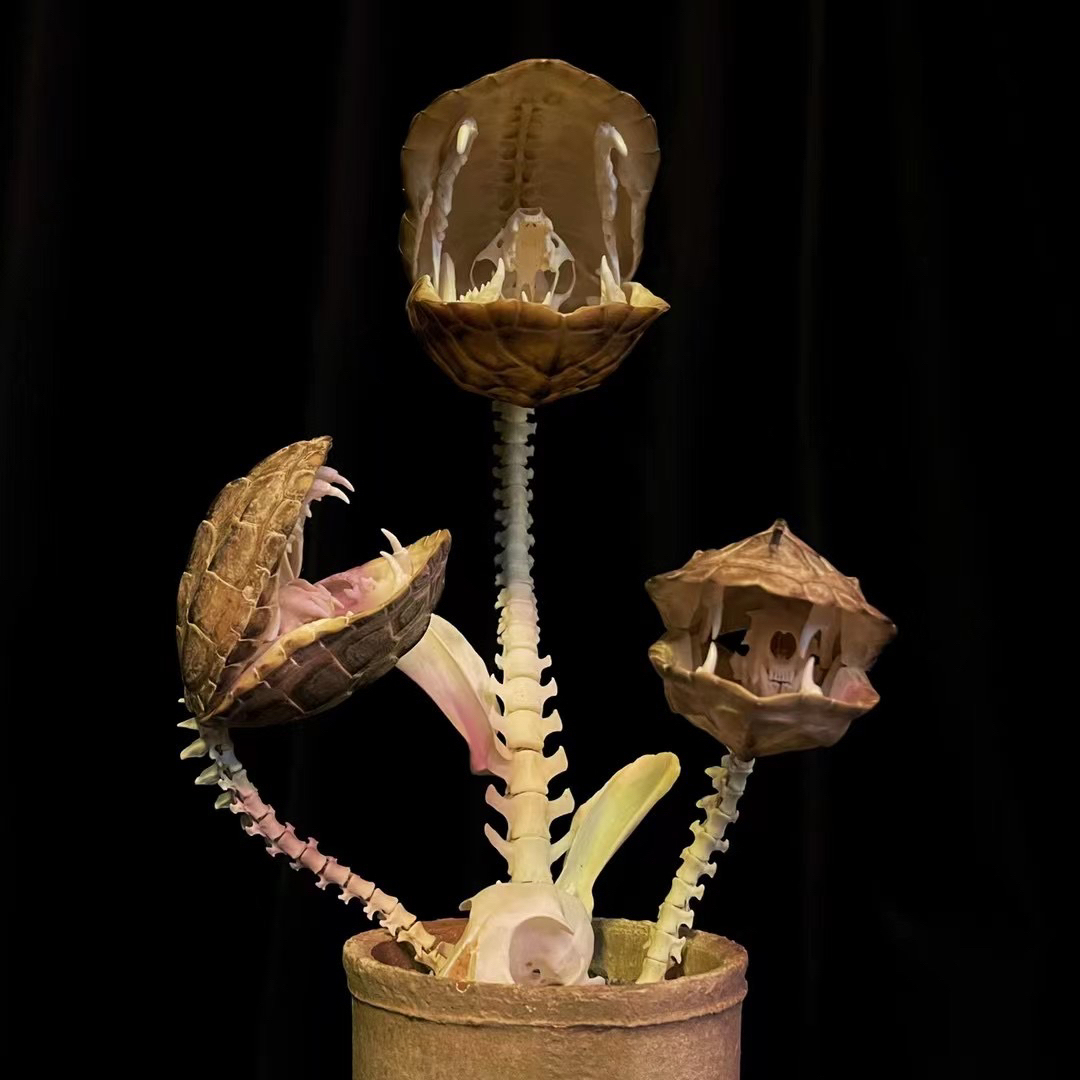 2060 Boutique series  Handmade Piranha taxidermy All bones spliced From Super Mary and Iron Warrior Dark specimen decoration Halloween party supplies