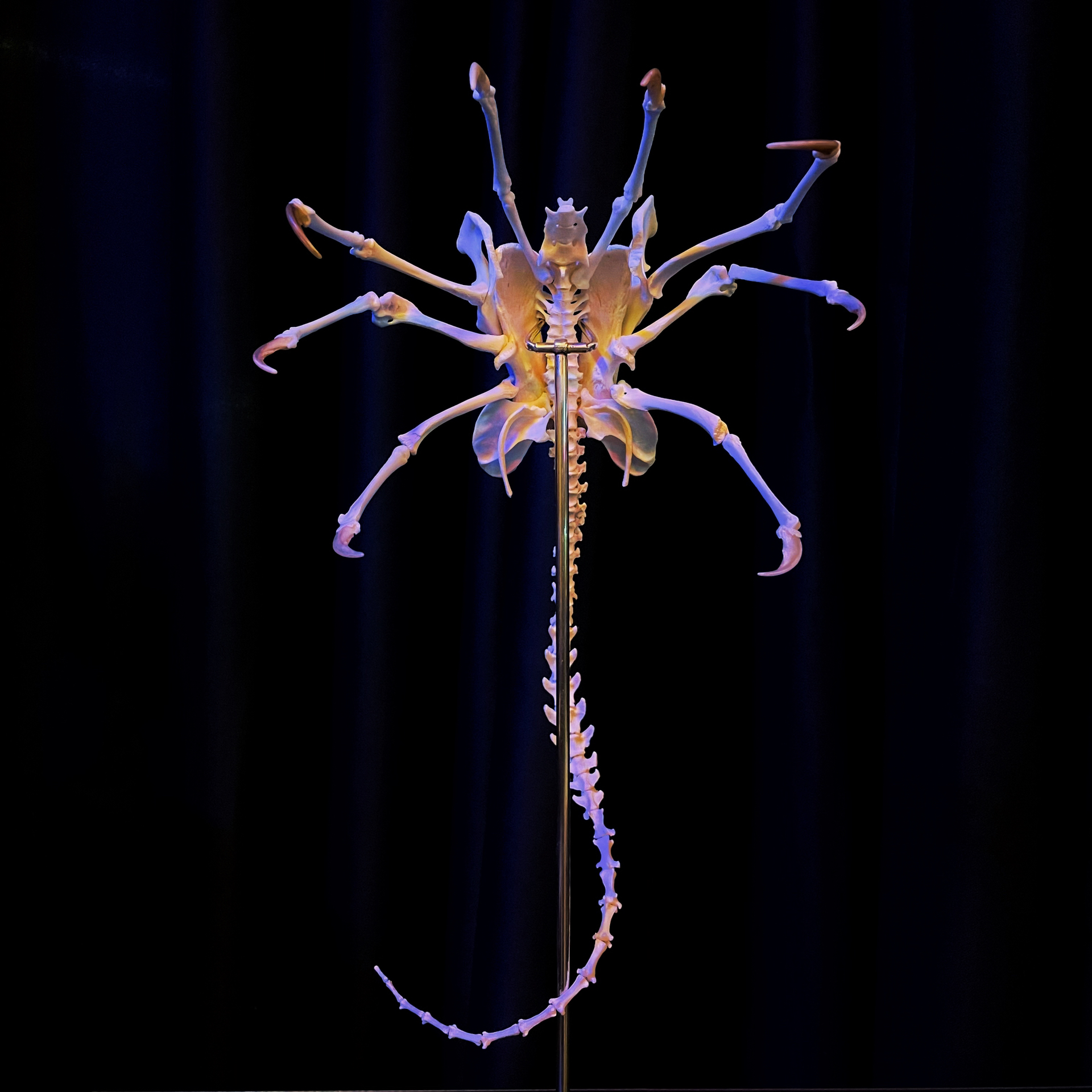 2061 Boutique series Face bug Taxidermy All bones spliced Handmade Iron Warrior Alien Peripheral products Dark specimen decoration Halloween party supplies