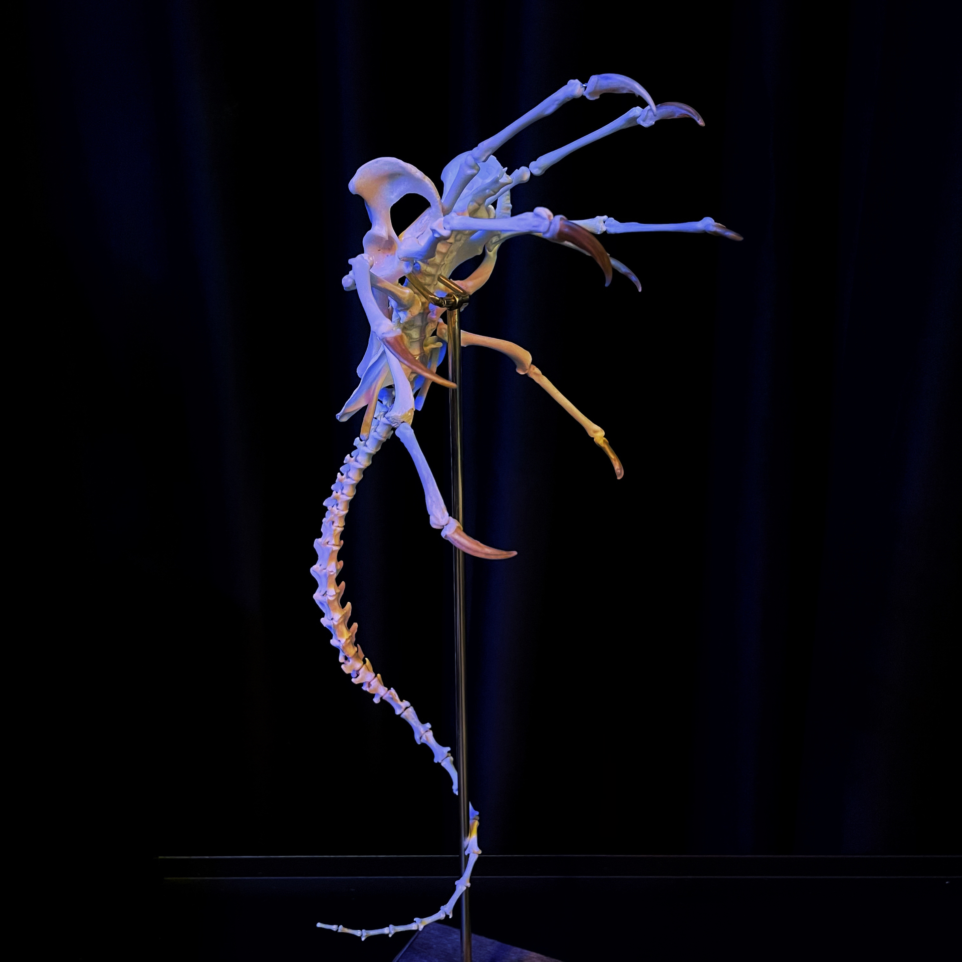 2061 Boutique series  Face bug Taxidermy All bones spliced Handmade Iron Warrior Alien Peripheral products Dark specimen decoration Halloween party supplies