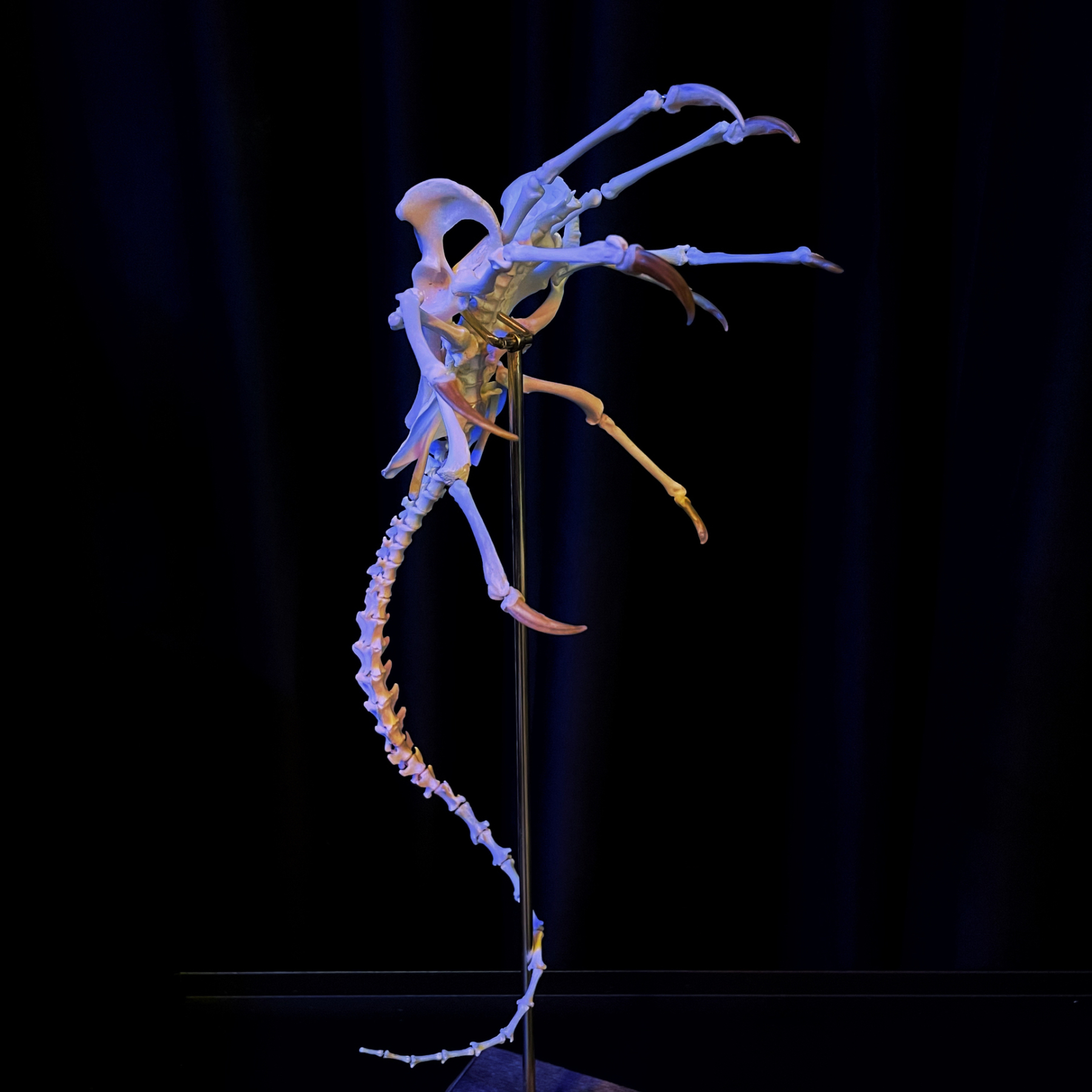 2061 Boutique series  Face bug Taxidermy All bones spliced Handmade Iron Warrior Alien Peripheral products Dark specimen decoration Halloween party supplies