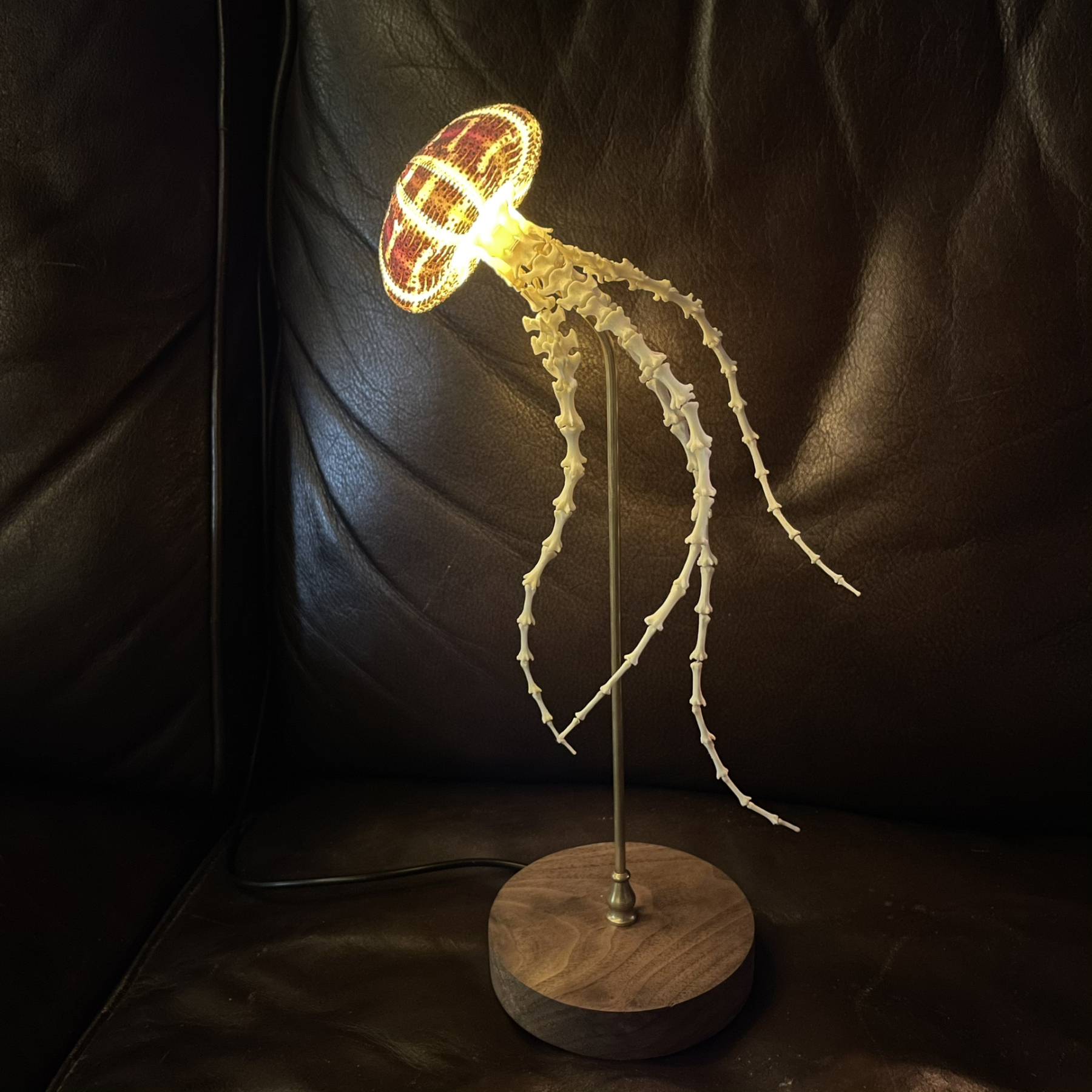 2062 Boutique series  Sea Elf Jellyfish lamp Taxidermy Handmade Bone table lamp Dark specimen decoration Halloween party supplies