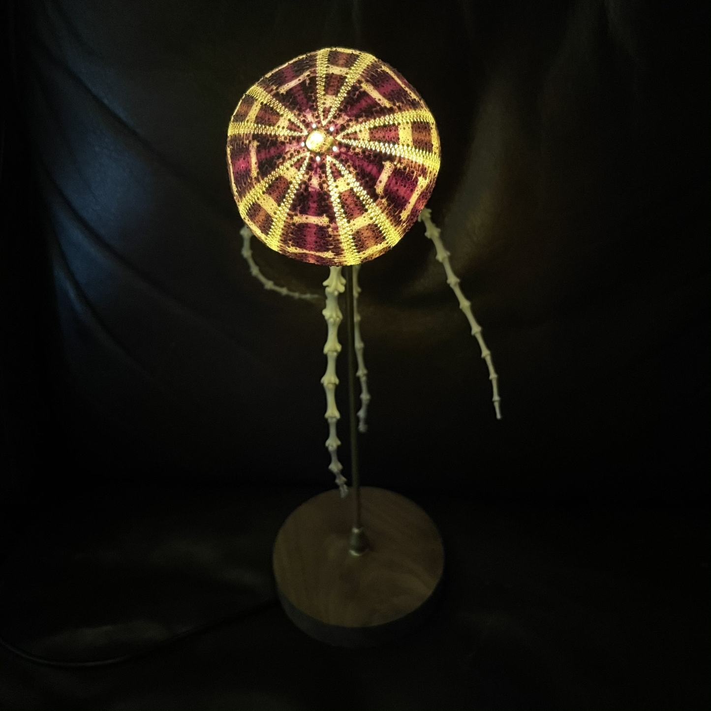 2062 Boutique series  Sea Elf Jellyfish lamp Taxidermy Handmade Bone table lamp Dark specimen decoration Halloween party supplies