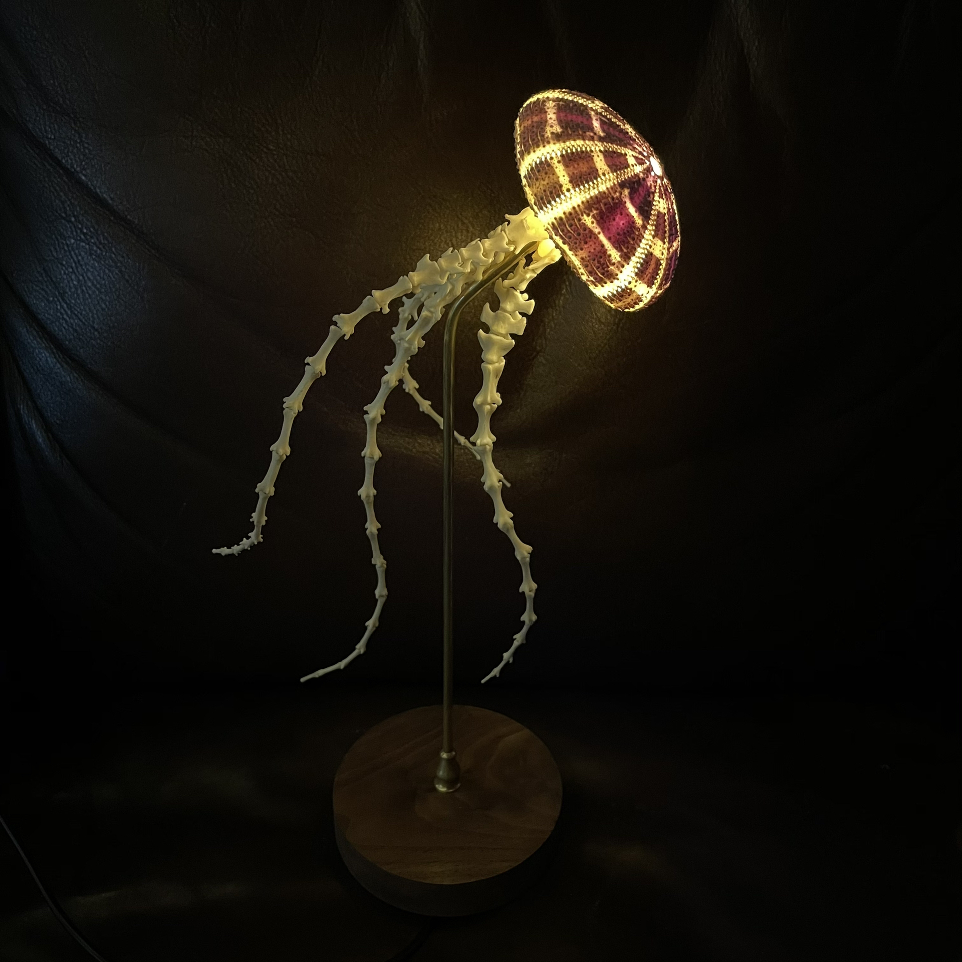 2062 Boutique series  Sea Elf Jellyfish lamp Taxidermy Handmade Bone table lamp Dark specimen decoration Halloween party supplies