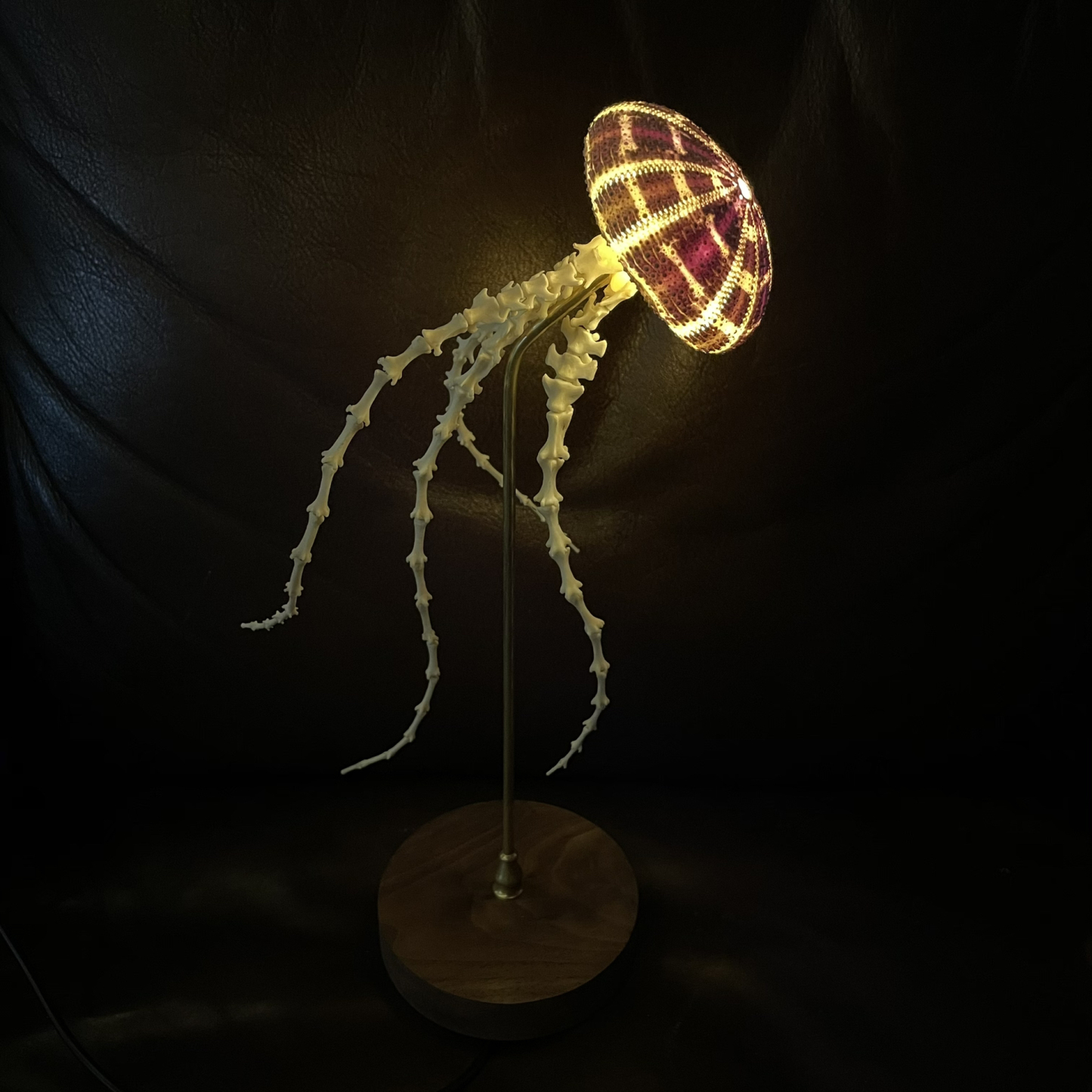 2062 Boutique series  Sea Elf Jellyfish lamp Taxidermy Handmade Bone table lamp Dark specimen decoration Halloween party supplies