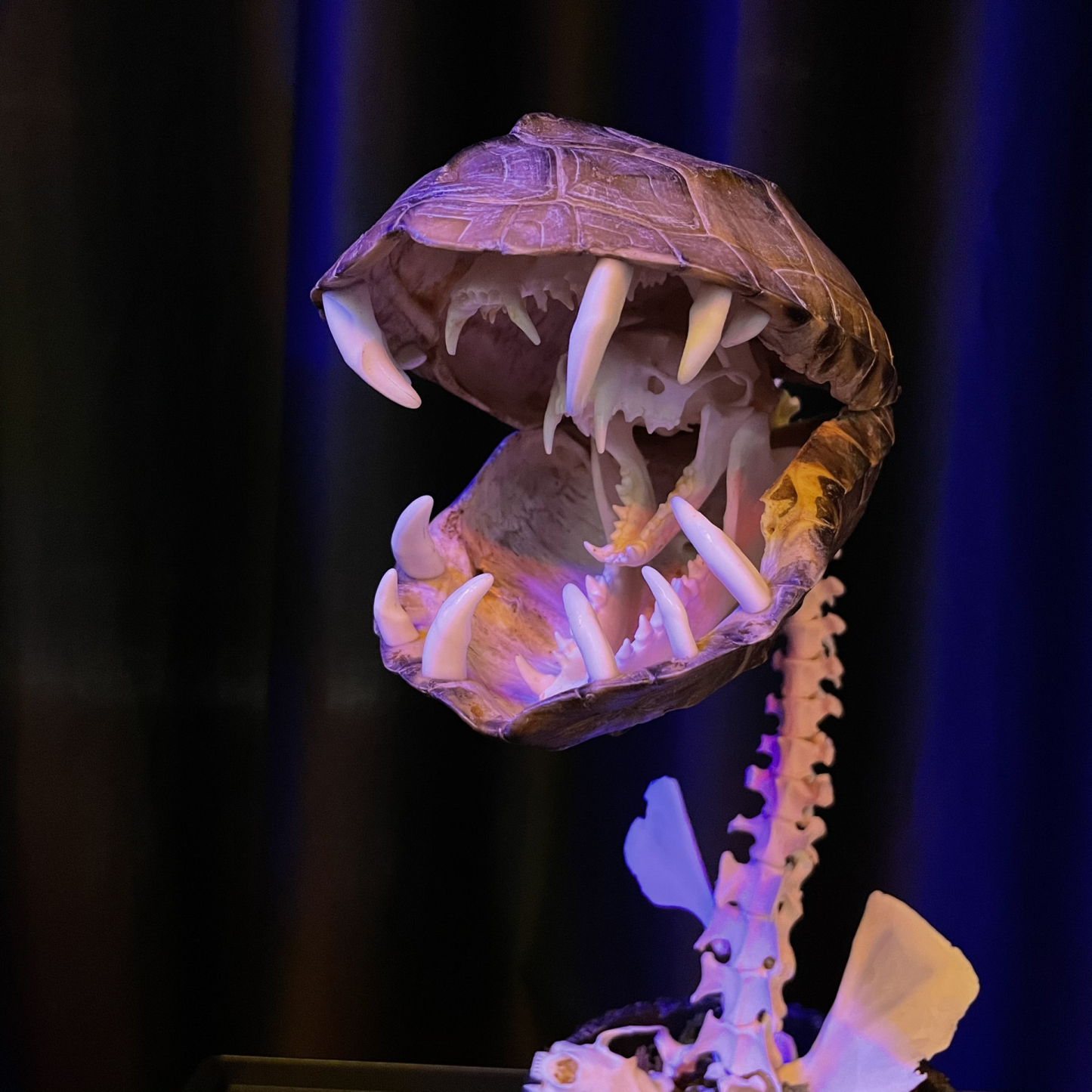 2060 Boutique series  Handmade Piranha taxidermy All bones spliced From Super Mary and Iron Warrior Dark specimen decoration Halloween party supplies