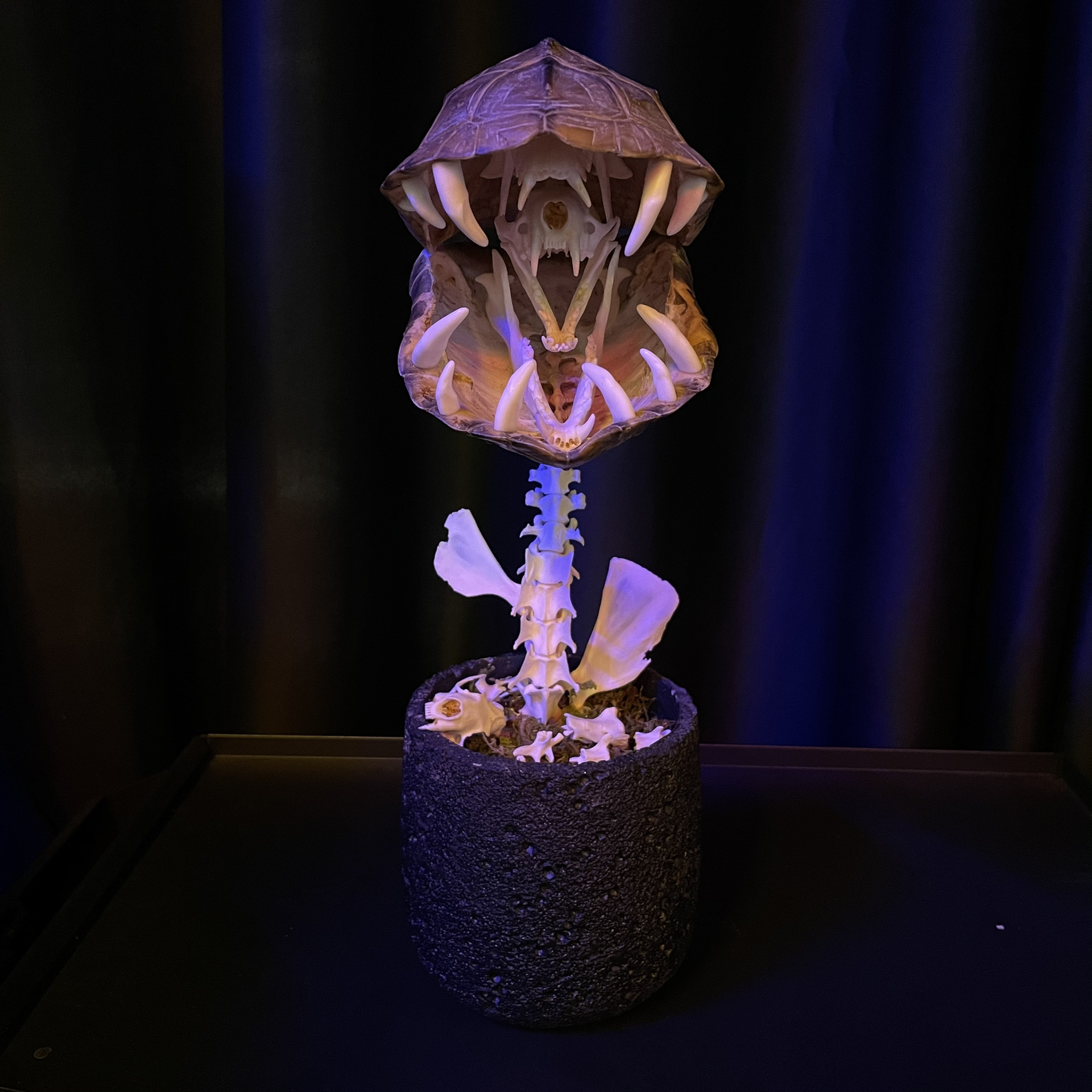 2060 Boutique series  Handmade Piranha taxidermy All bones spliced From Super Mary and Iron Warrior Dark specimen decoration Halloween party supplies