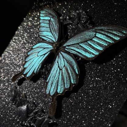 2151 Boutique series Real Butterfly Specimen Swallowtail on Hand Painted Board Insect Art Display Animal Taxidermy Frame Decor Home Gift 