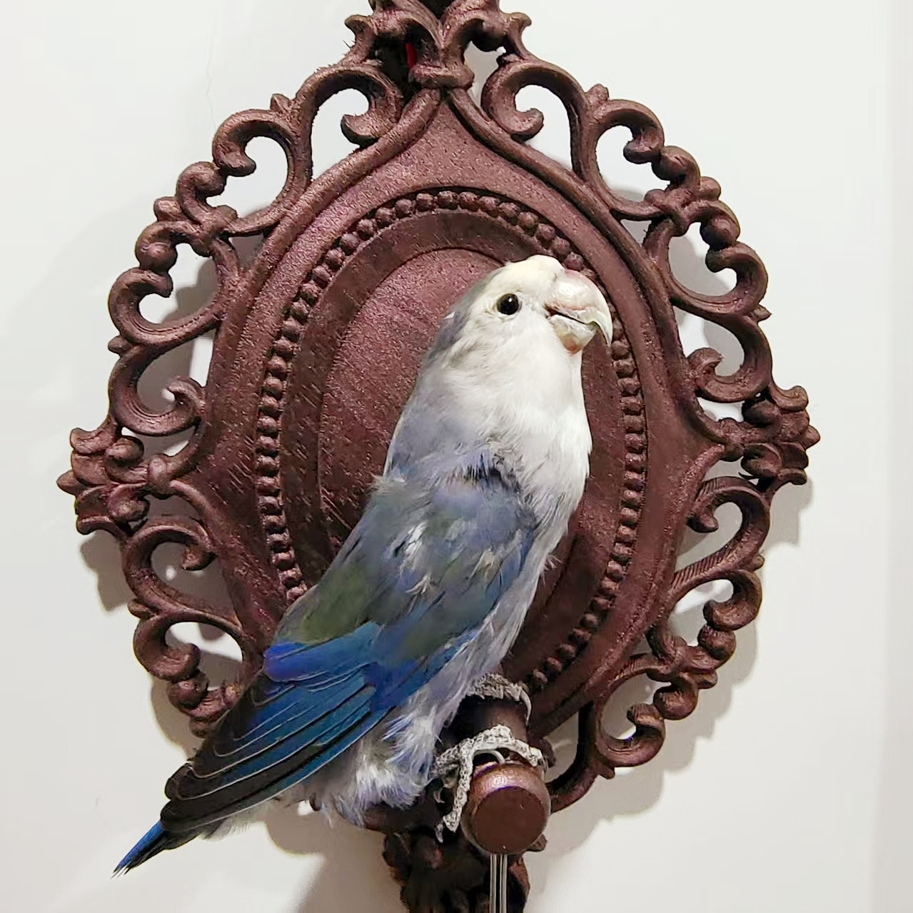 2017 Wholesale Taxidermy Bird Sculpture Retro Decorative Board Home Animal Jewelry Pendant Wedding Supplies Christmas Halloween Gifts