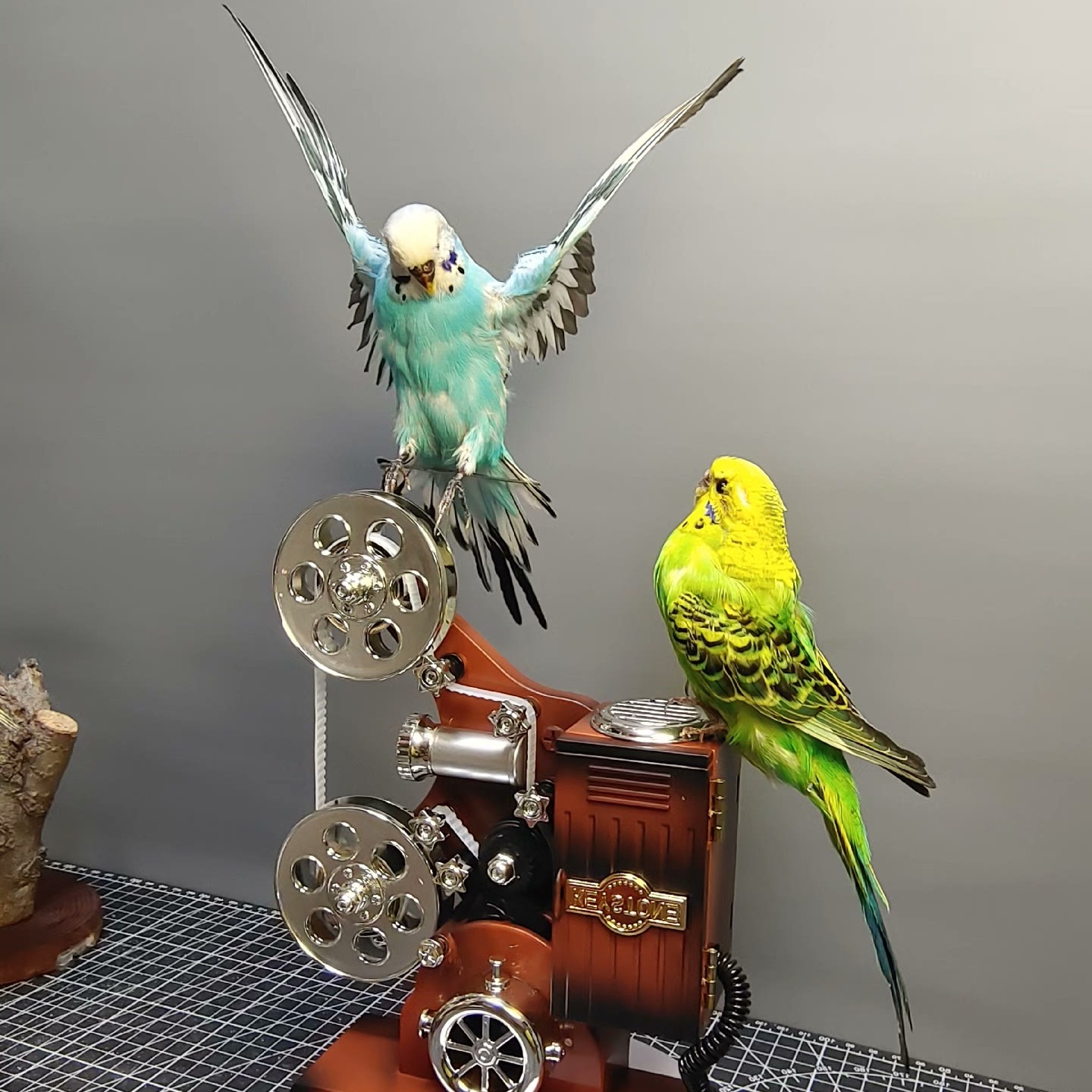 2065 Boutique series Dancing Bird with Rotating Music Box Sculpture Home Decor Ornament for Wedding Gift Christmas Halloween Party Supplies