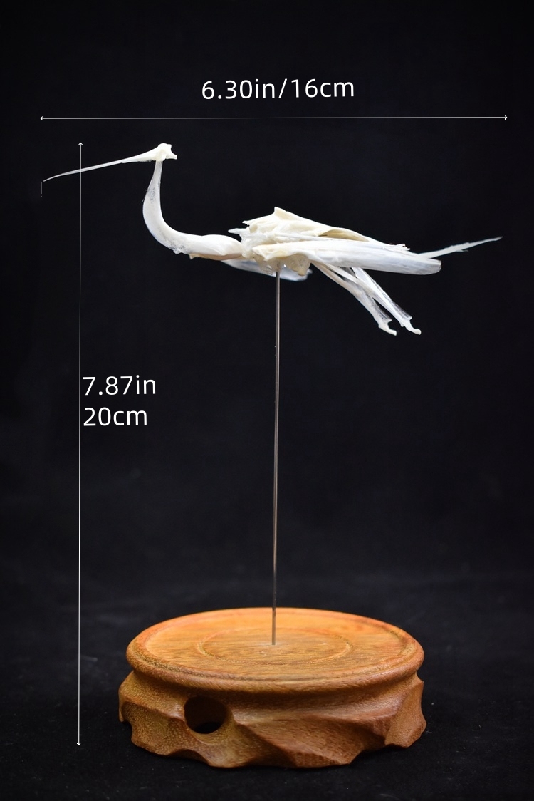 2008 Taxidermy Artificial Bone Crane Figurine Craft Sculpture Oriental Home Decor Spiritual Symbol Artifact Shelf Display Mythical Replica
