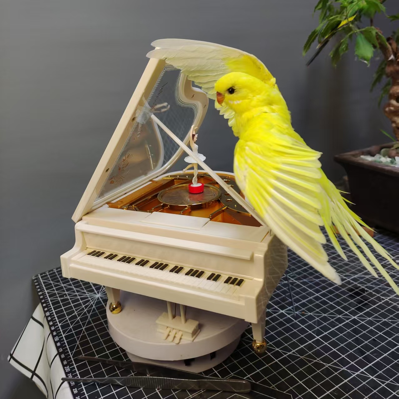2010 Small bird taxidermy Colorful Dancing Parrot Resin Art Decor with Piano Music Box Handmade Craft Gift for Home Office Christmas Birthday Party
