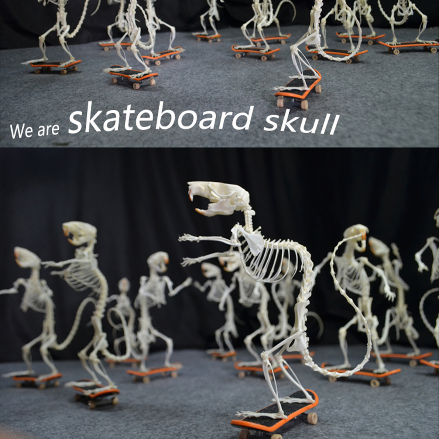 2022 Taxidermy Rodent Skeletal Art Urban Relic Display Gothic Skate Culture Bone Dynamics Artisan Replica Pink Mouse Ossuary Sculpture Art