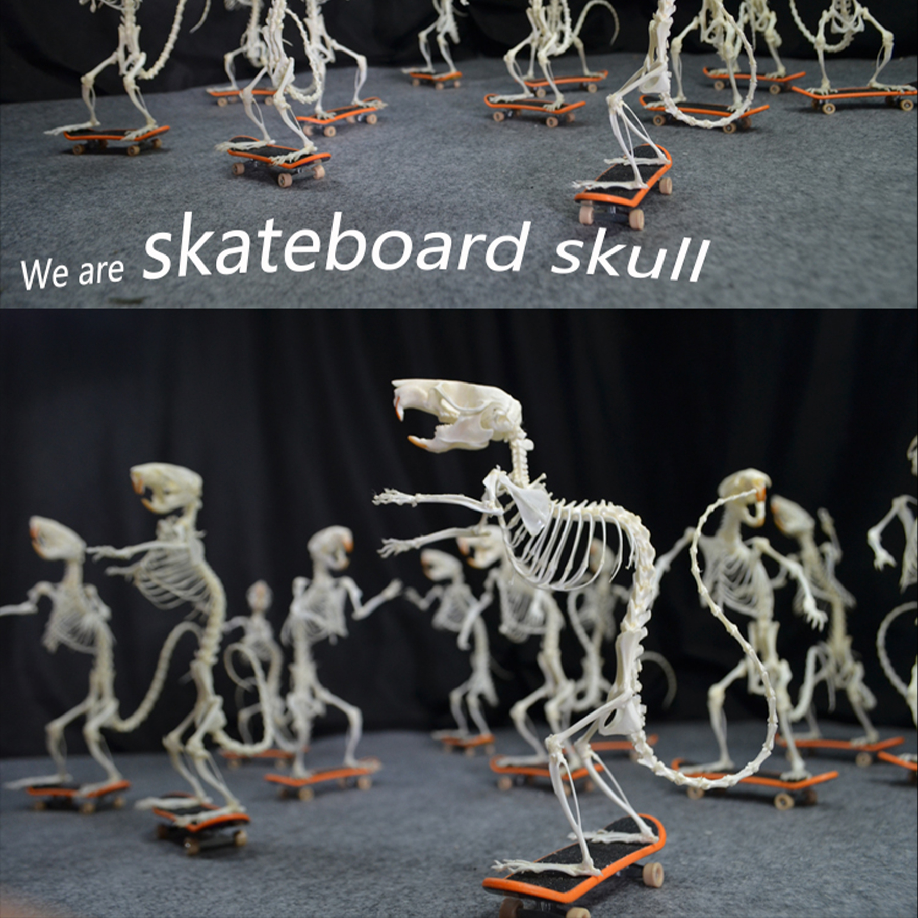 2022 Taxidermy Rodent Skeletal Art Urban Relic Display Gothic Skate Culture Bone Dynamics Artisan Replica Pink Mouse Ossuary Sculpture Art