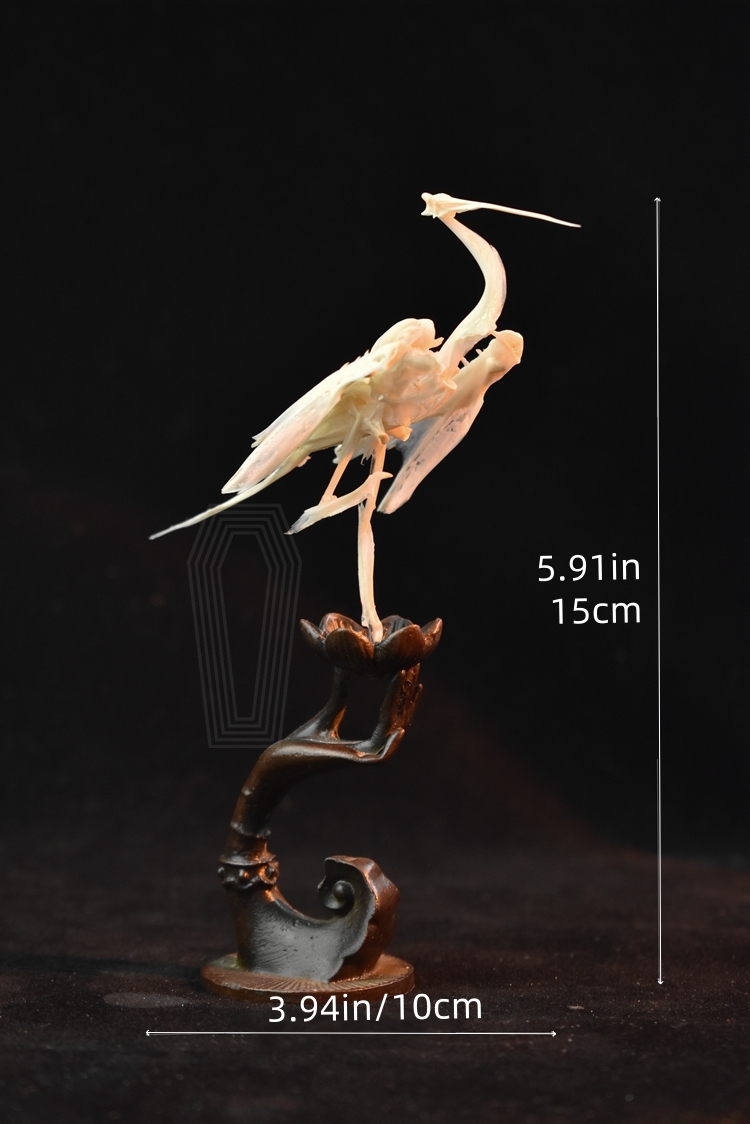 2008 TaxidermyArtificial Bone Crane Figurine Craft Sculpture Oriental 