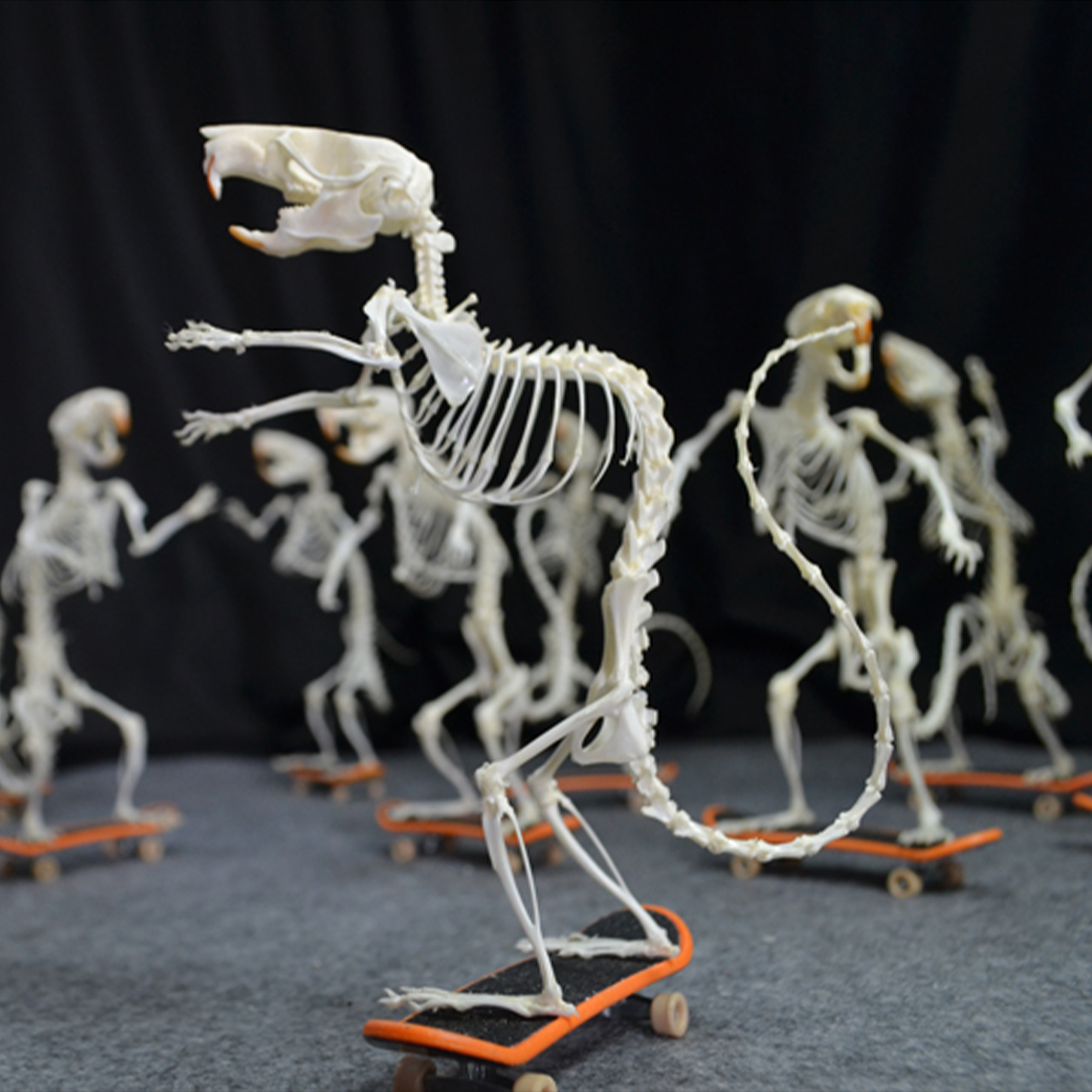 2022 Taxidermy Rodent Skeletal Art Urban Relic Display Gothic Skate Culture Bone Dynamics Artisan Replica Pink Mouse Ossuary Sculpture Art