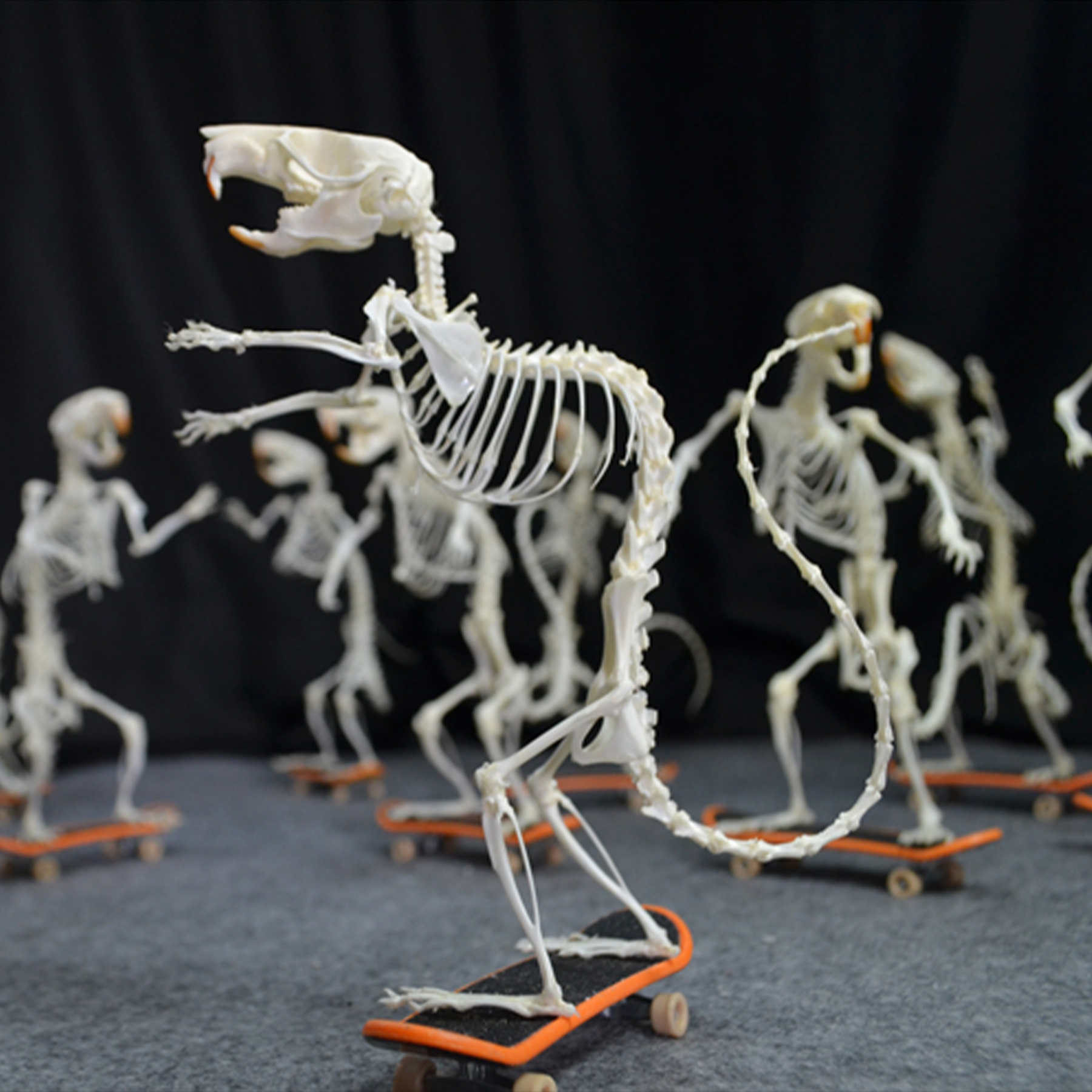 2022 Taxidermy Rodent Skeletal Art Urban Relic Display Gothic Skate Culture Bone Dynamics Artisan Replica Pink Mouse Ossuary Sculpture Art