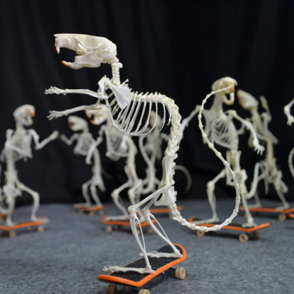 2022 Taxidermy Rodent Skeletal Art Urban Relic Display Gothic Skate Culture Bone Dynamics Artisan Replica Pink Mouse Ossuary Sculpture Art