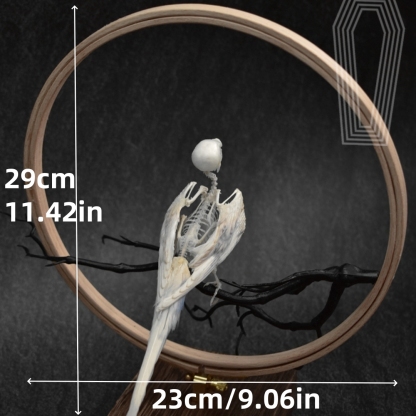 2027 Taxidermy Passerine Ossuary Shadowbox Gothic Anatomy Artifact Articulated Skeletal Artistry Ecclesiastical Bird Bone Assemblage