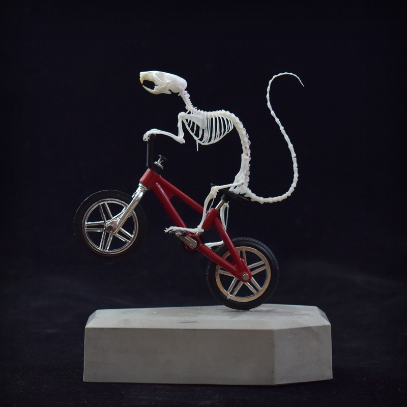 2203 Unique Skeleton Skull Art Handcrafted Mouse Bone Model Perfect for Dark Theme Rooms or Halloween Decorations Elegant Gothic