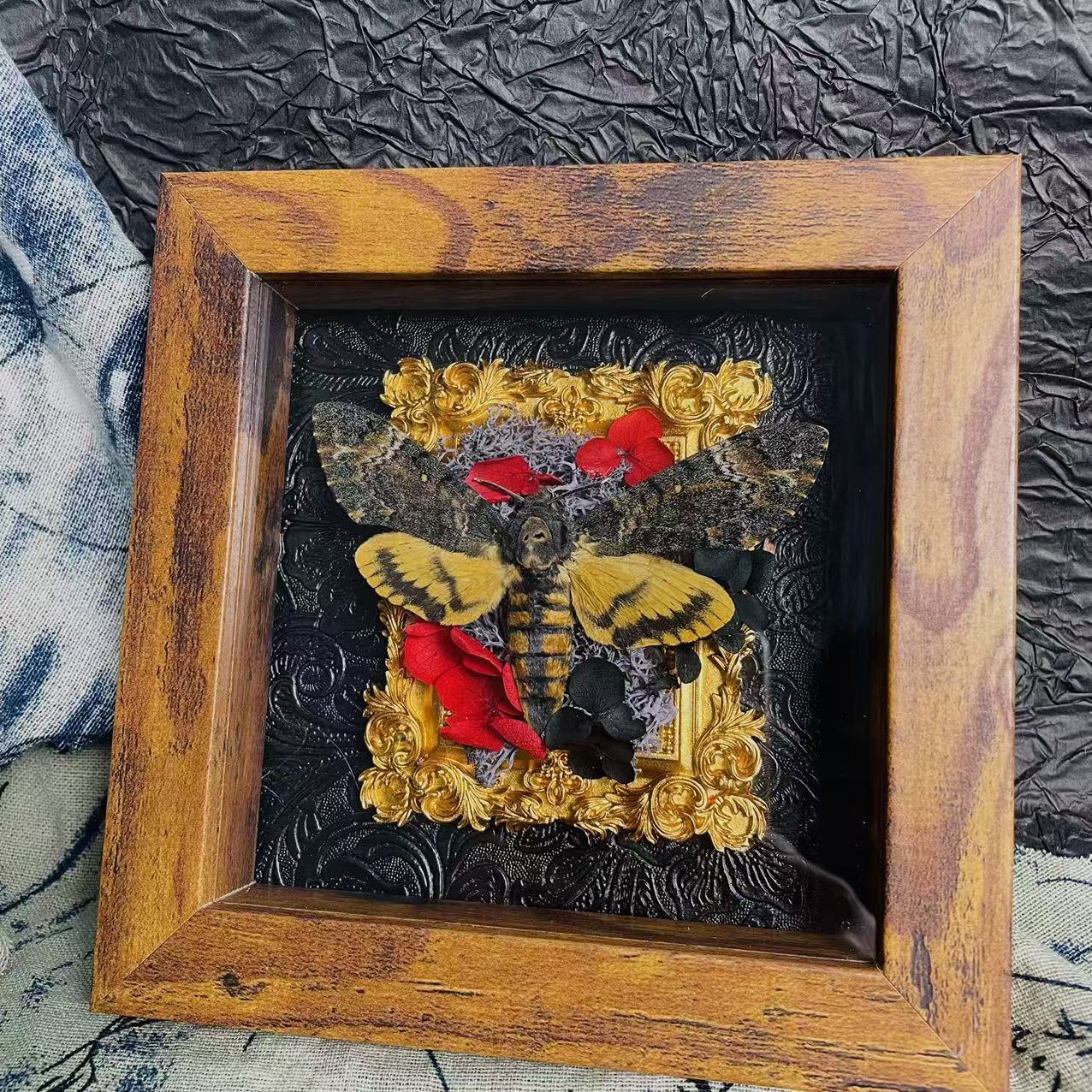 2051 Wholesale series 1/5/10pcs Death-headed Eagle Moth Gift Specimen Painting Gothic Art Creepy Weird Halloween Supplies Silent Lamb