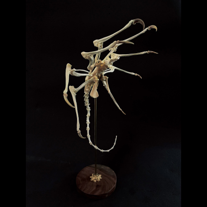 2061 Boutique series  Face bug Taxidermy All bones spliced Handmade Iron Warrior Alien Peripheral products Dark specimen decoration Halloween party supplies