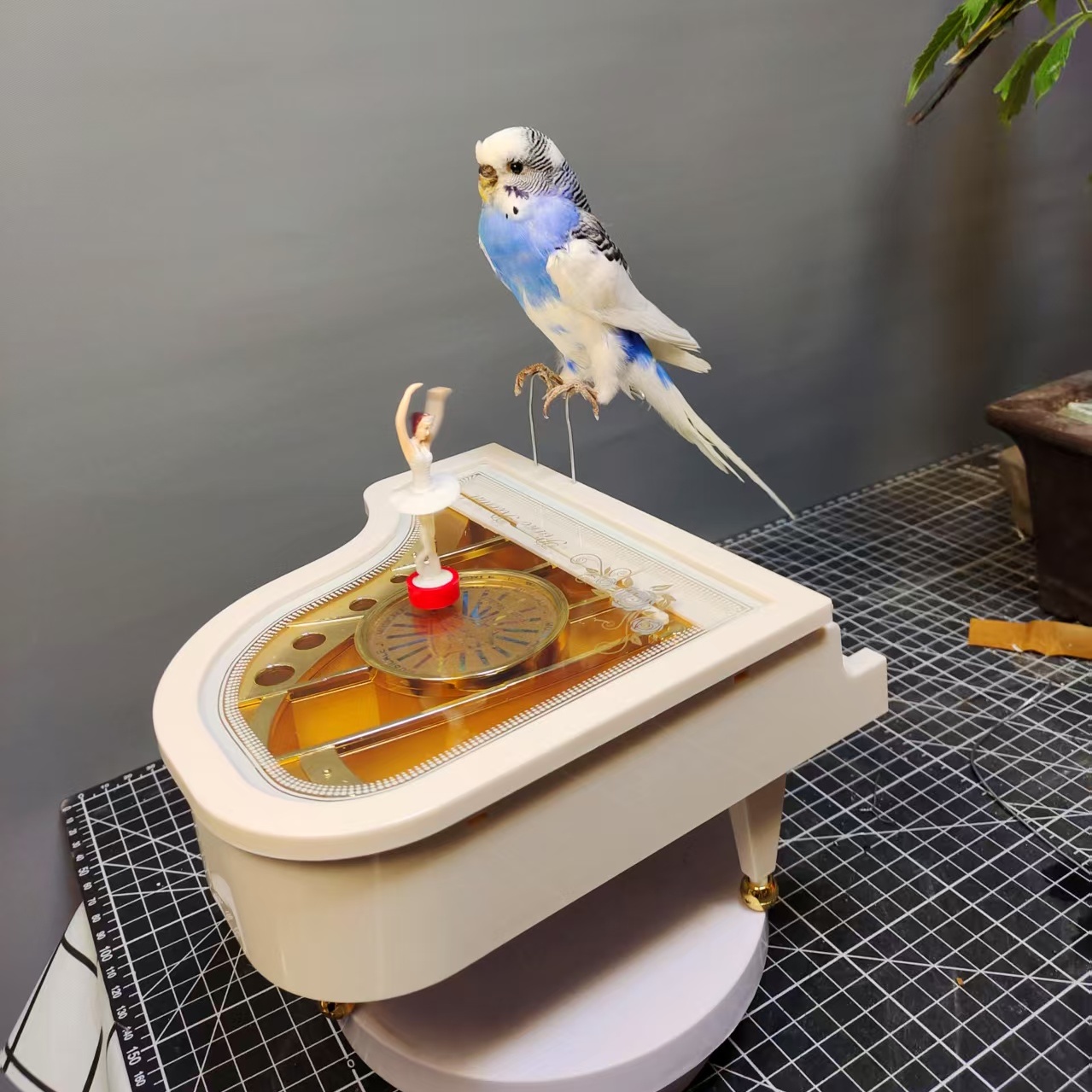 2010 Small bird taxidermy Colorful Dancing Parrot Resin Art Decor with Piano Music Box Handmade Craft Gift for Home Office Christmas Birthday Party